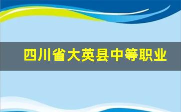 四川省大英县中等职业技术学校2024年录取分数(大英中职校官网)